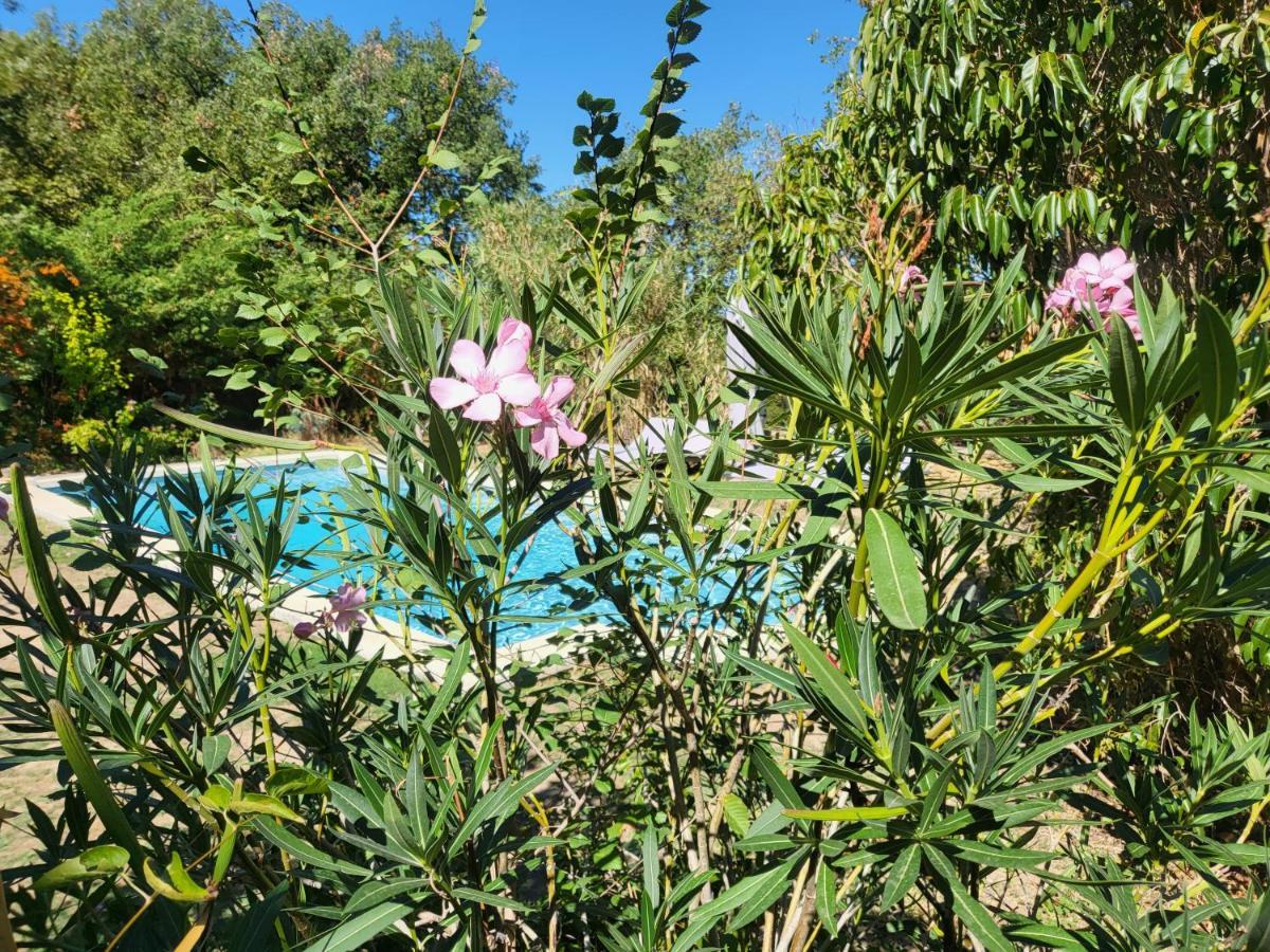 Le Cabanon Bed & Breakfast Menerbes Exterior photo